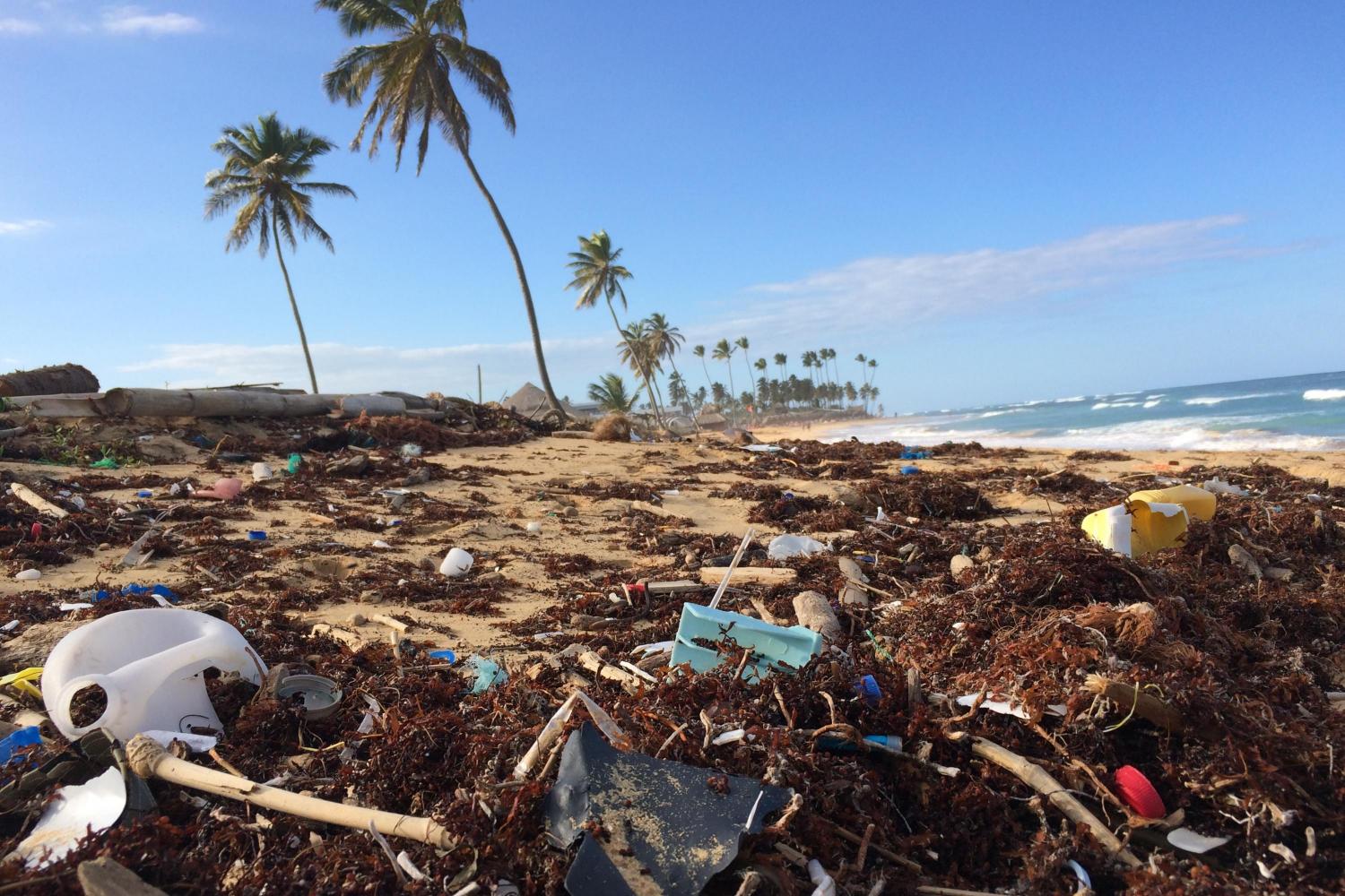 World Oceans Day